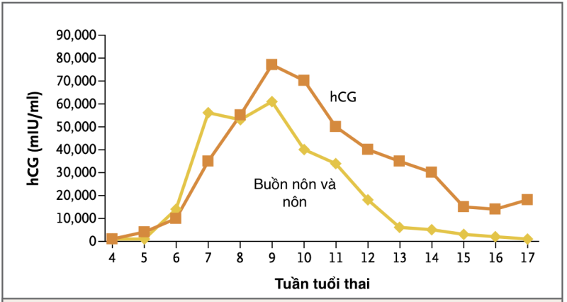 Mối liên quan của ốm nghén và nồng độ bhCG