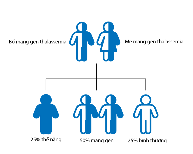 Hình 1. Cơ chế hình thành bệnh thalassemia ở ba mẹ cùng kiểu gen